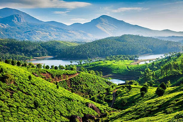 Cochin to Munnar - Transfer & Sightseeing