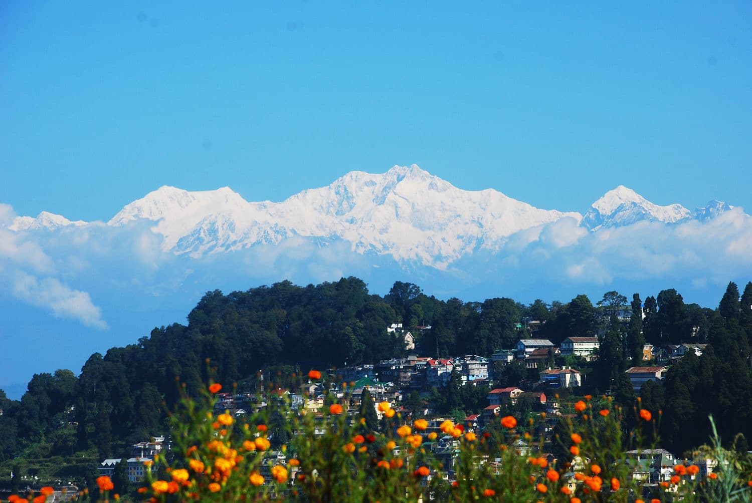 Arrival at IXB Airport / NJP Railway Station – Transfer to Gangtok