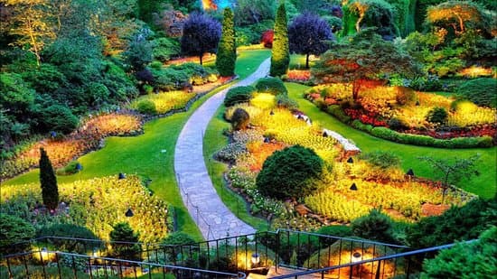 Royal Botanical Garden – (Optional)